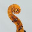Violin #97 Head L